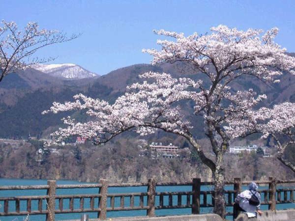 Hotel Kojokaku Katashina Dış mekan fotoğraf